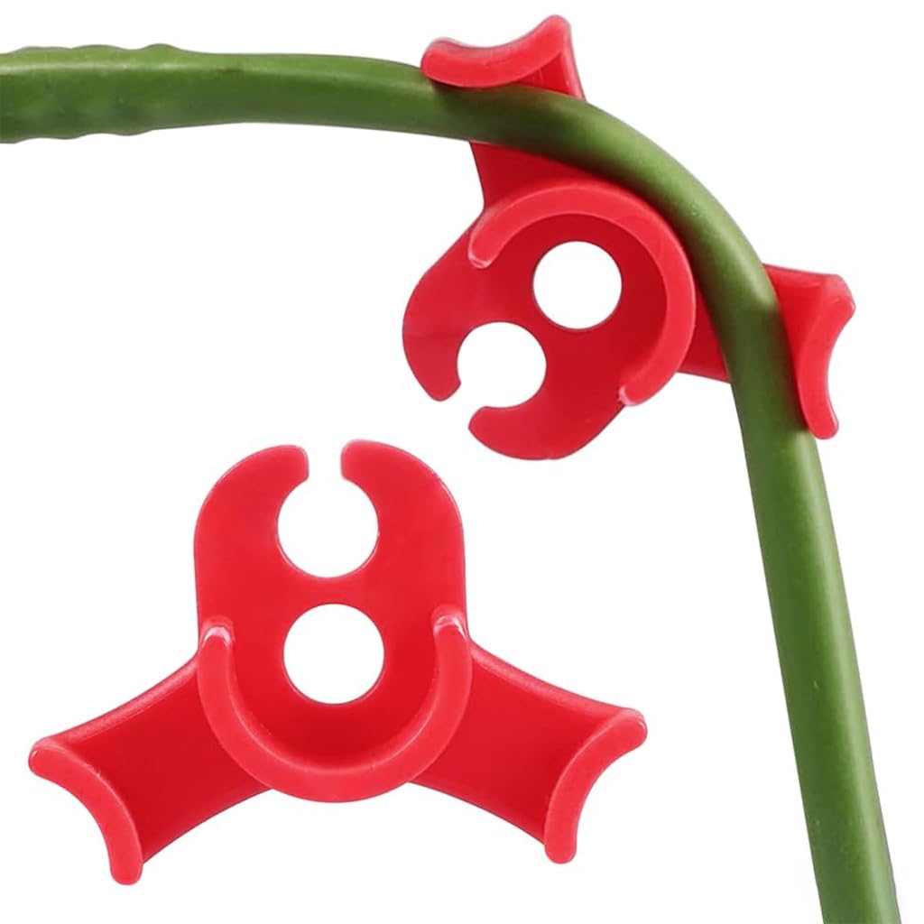 Proberos 50pcs Plant Clip Plastic Support Clip Bender Clip for Plant Branch Control Clip Growing Angle Control Clip Proberos 50pcs Plant Clip Plastic Support Clip Bender Clip for Plant Branch Control Clip Growing Angle Control Clip